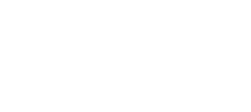 株式会社N1自動車